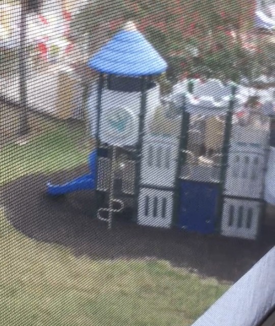 One of several playgrounds