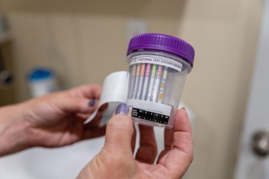 Hands holding container of test strips
